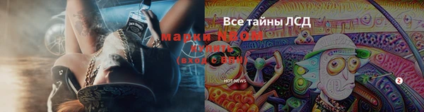 героин Болотное