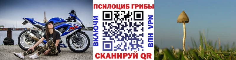 наркошоп  Верхняя Пышма  Галлюциногенные грибы Magic Shrooms 